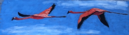 Flamingo Study