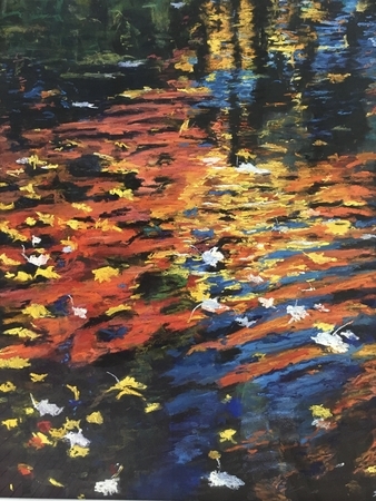 Reflection in a Pond 1